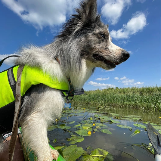 pufy.pl