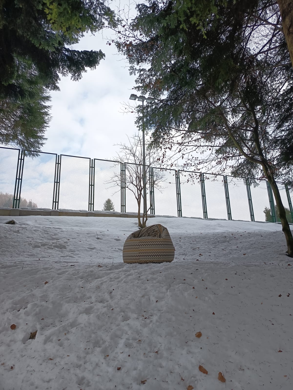 Fuzzy Modern Outdoor Zygzaki