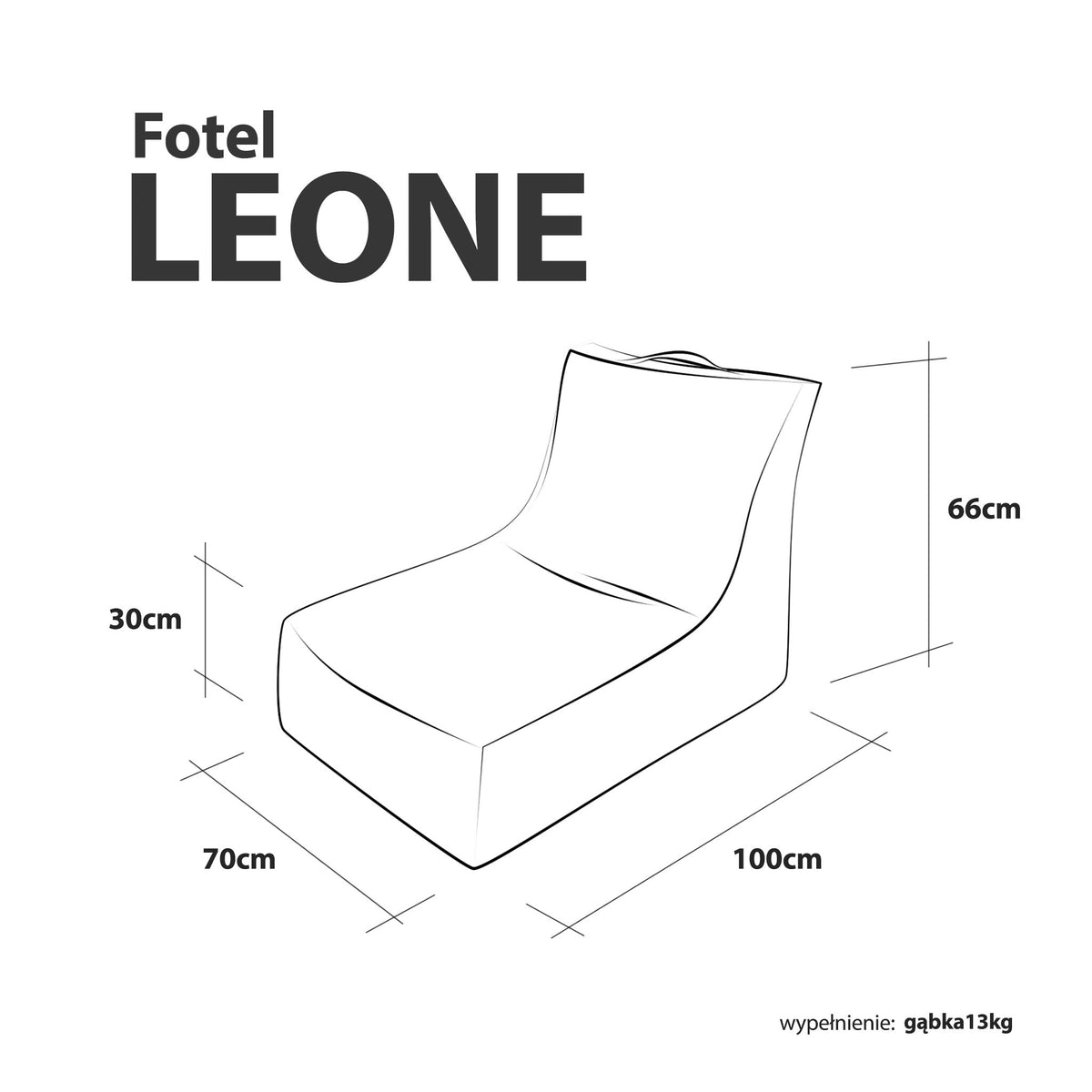Fotel Leone MOOD – infografika z wymiarami: 100 x 70 x 66 cm, siedzisko 30 cm